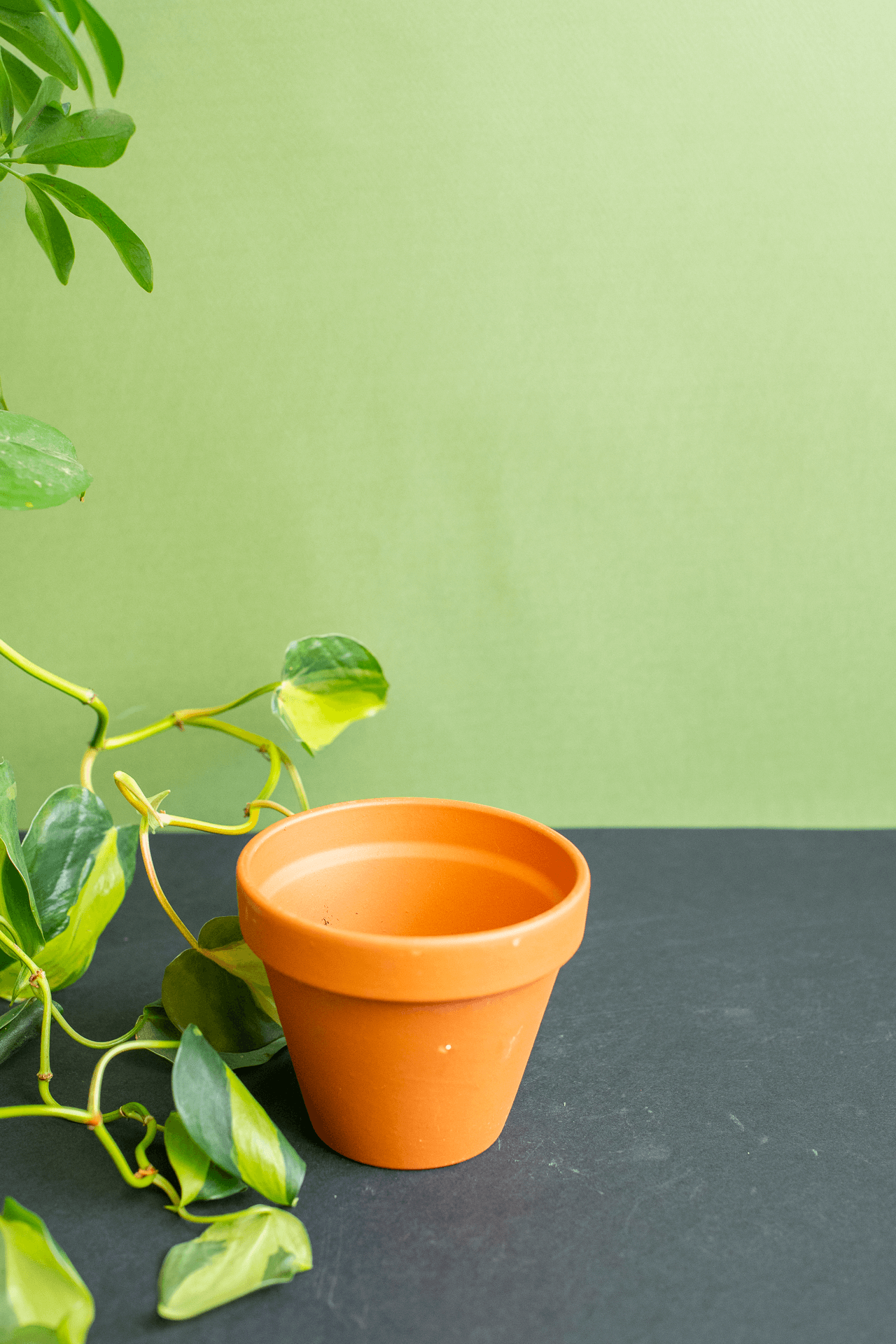 Planters: Terracotta