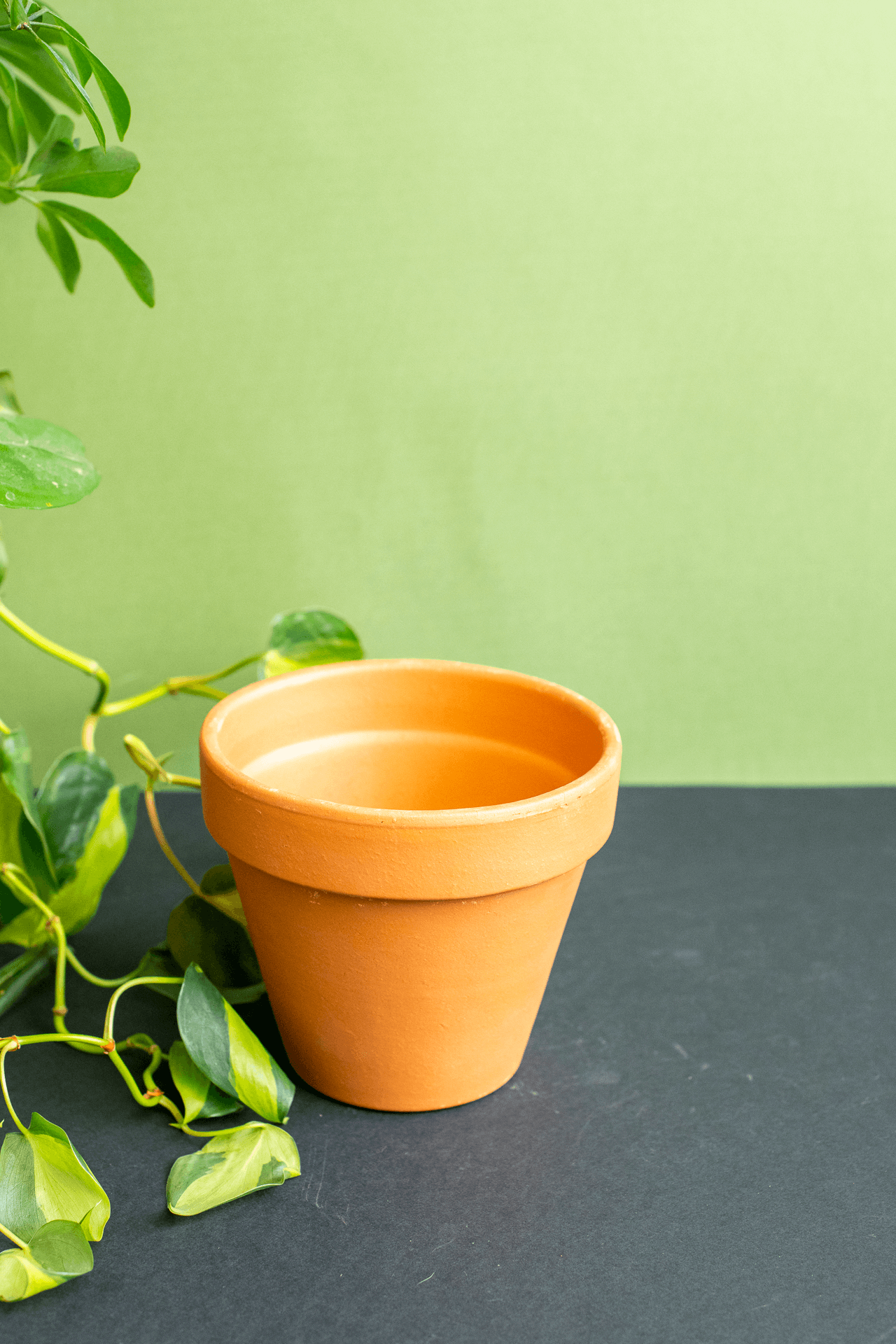 Planters: Terracotta