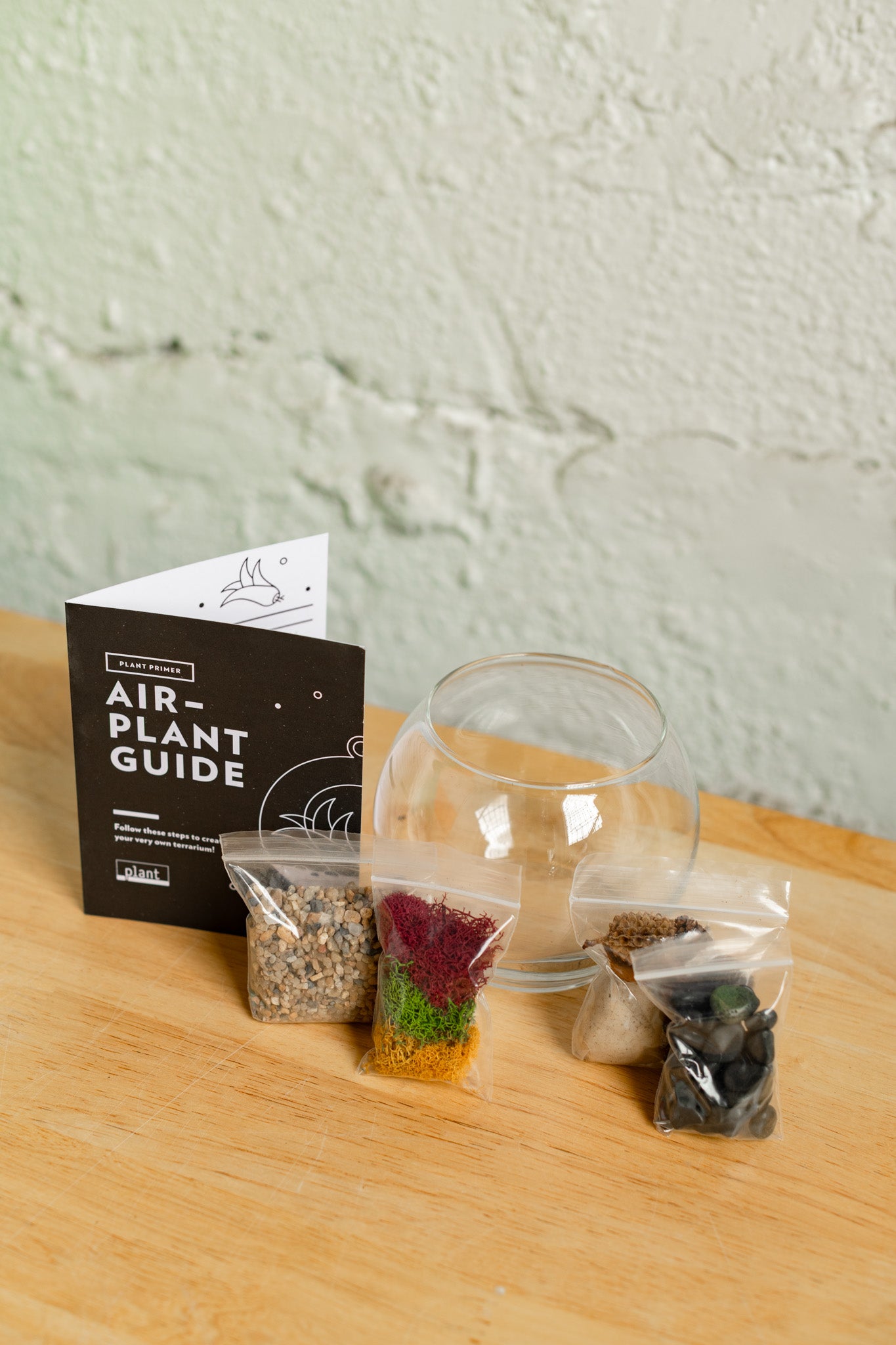 Airplant Terrarium Kit