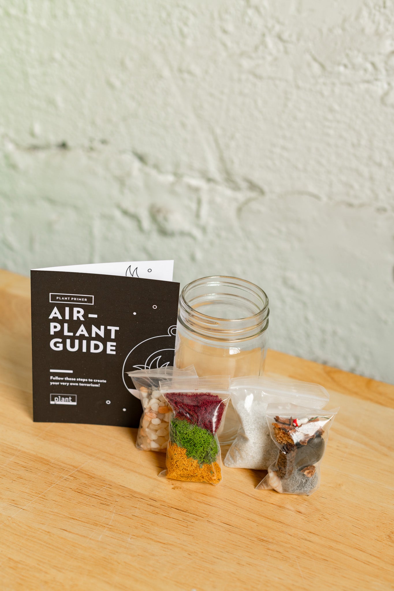Airplant Terrarium Kit