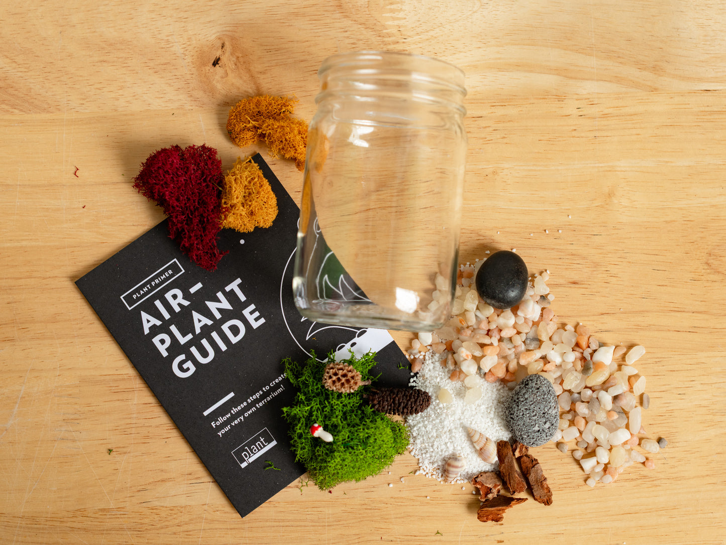Airplant Terrarium Kit