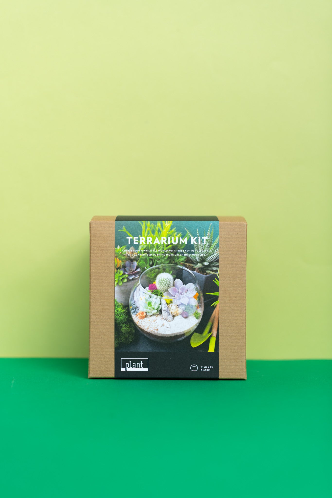 Terrarium Kit : Globe w/ Plants