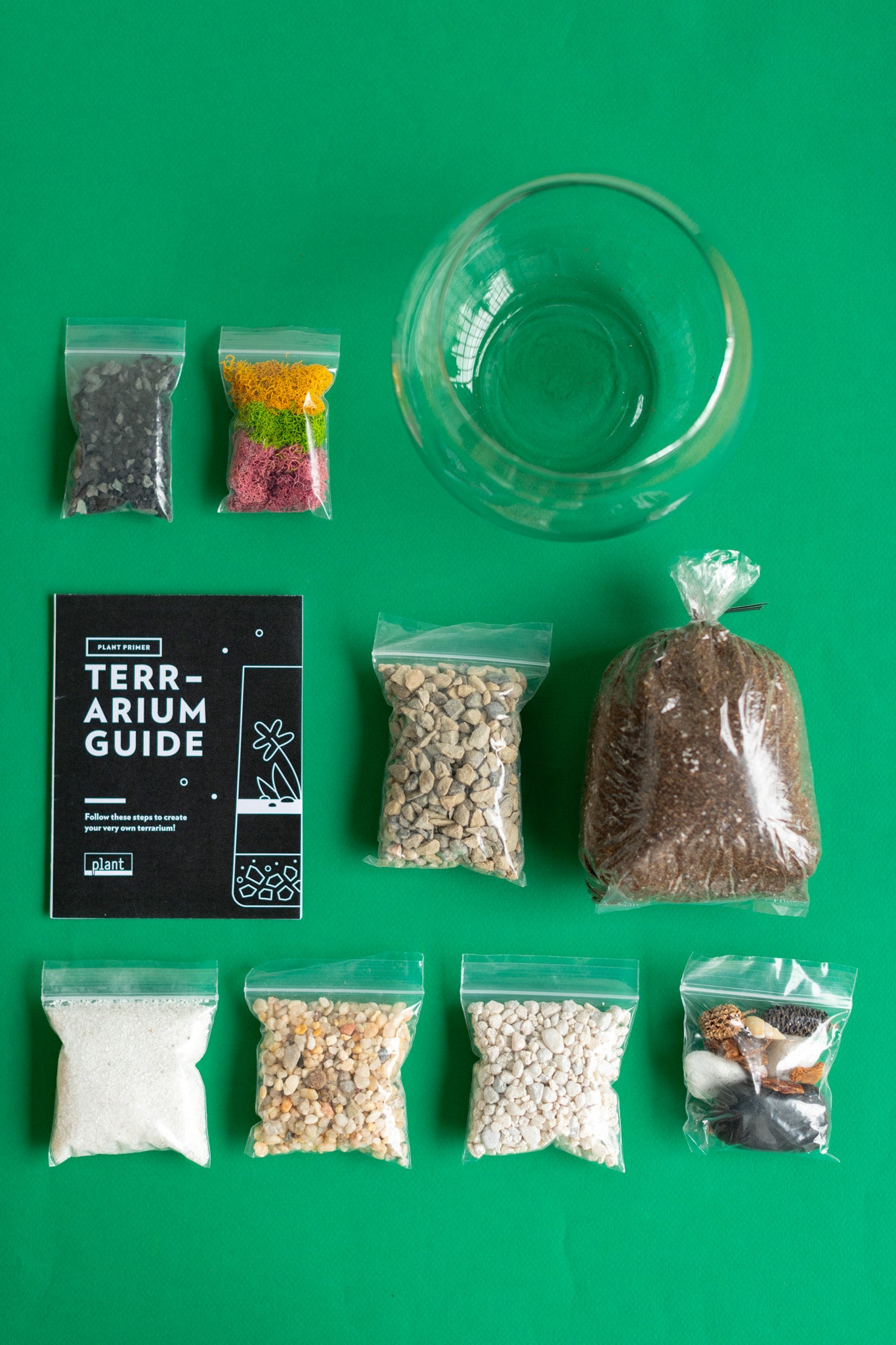 Terrarium Kit : Globe w/ Plants