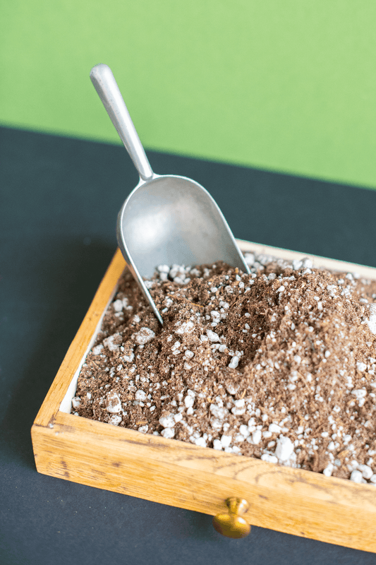 Cactus Soil
