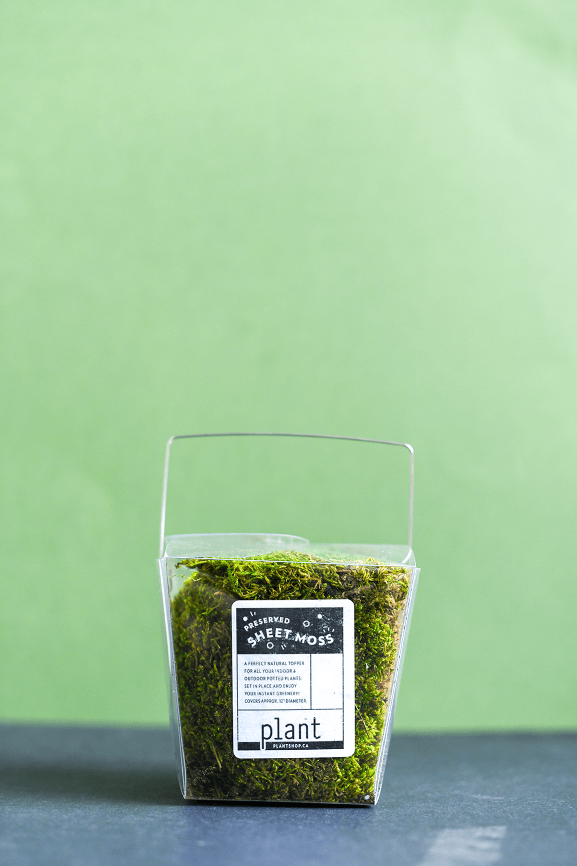 Preserved Sheet Moss