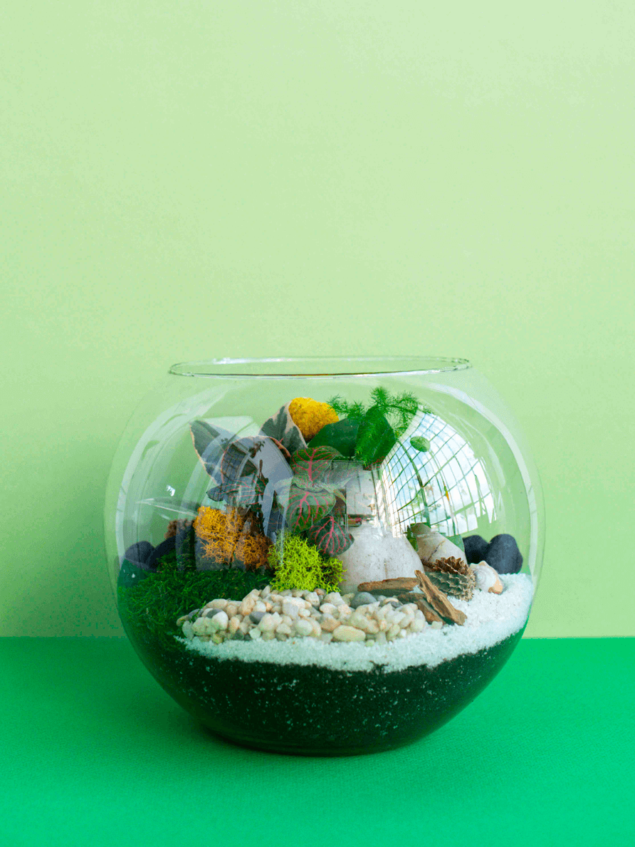 Medium Globe Terrarium