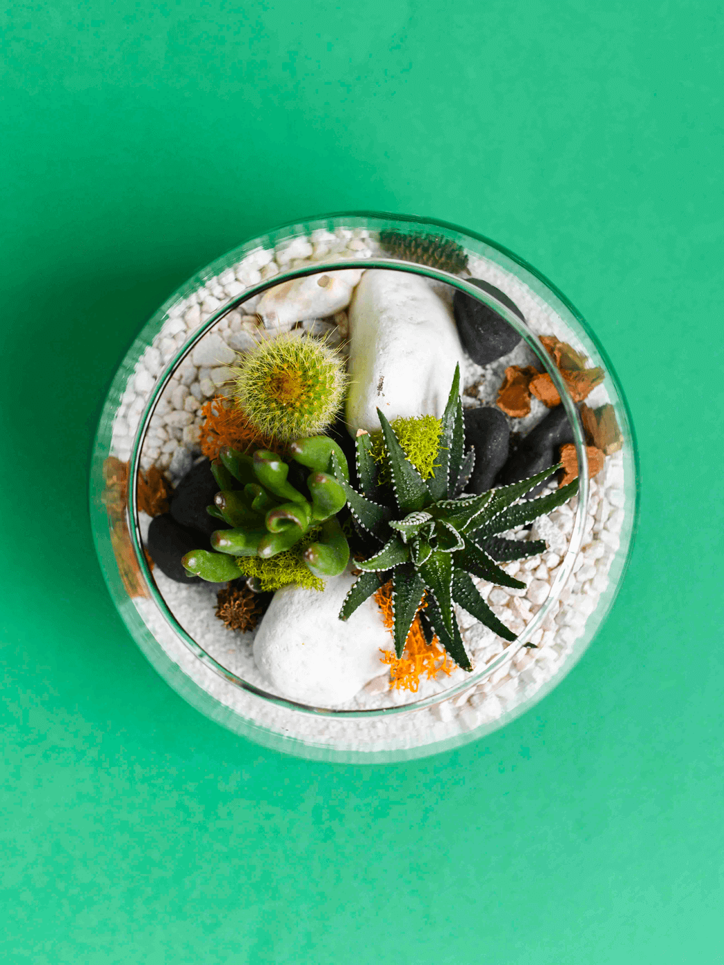 Small Globe Terrarium