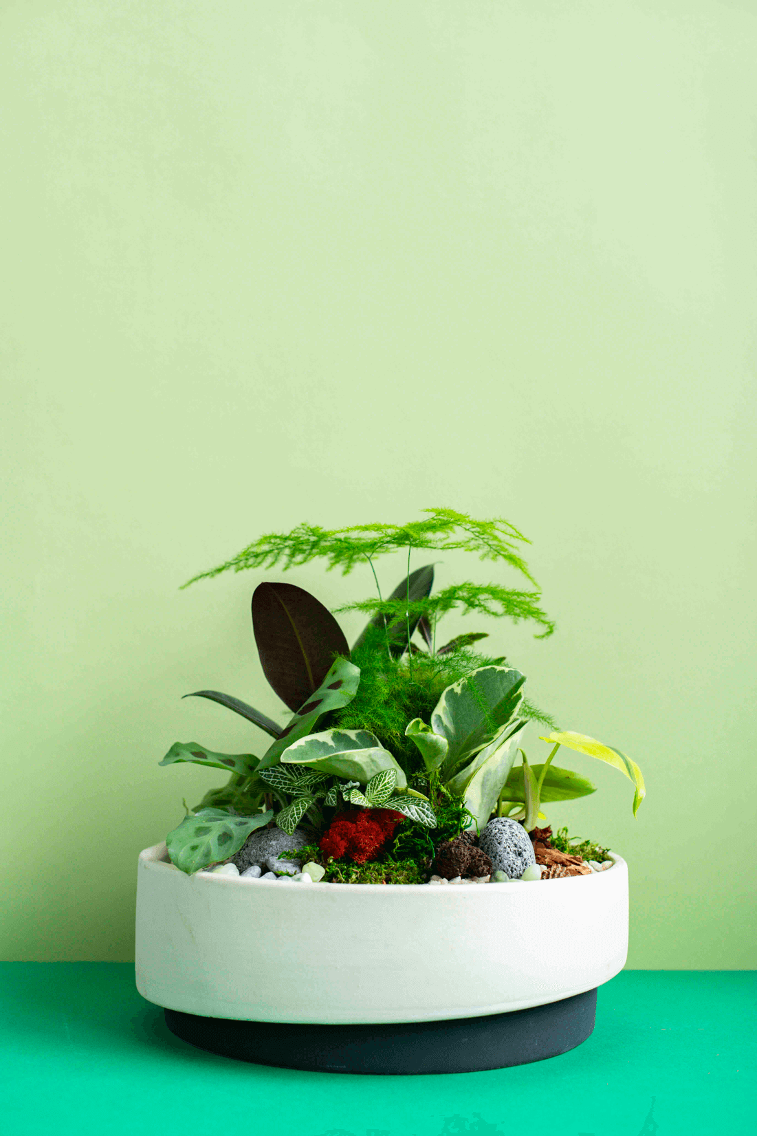Large Potted Arrangement