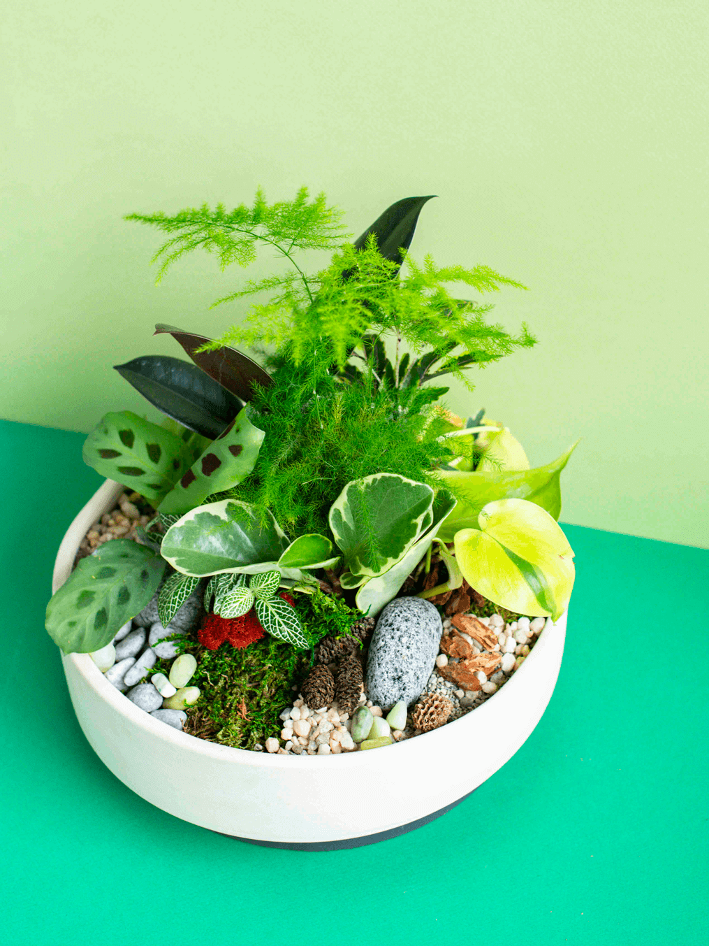 Large Potted Arrangement