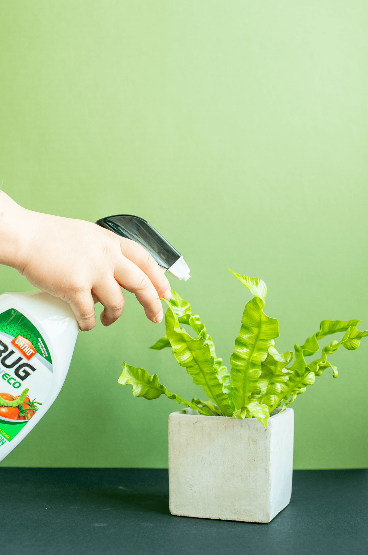 Insecticidal Soap: Bug B Gon Eco