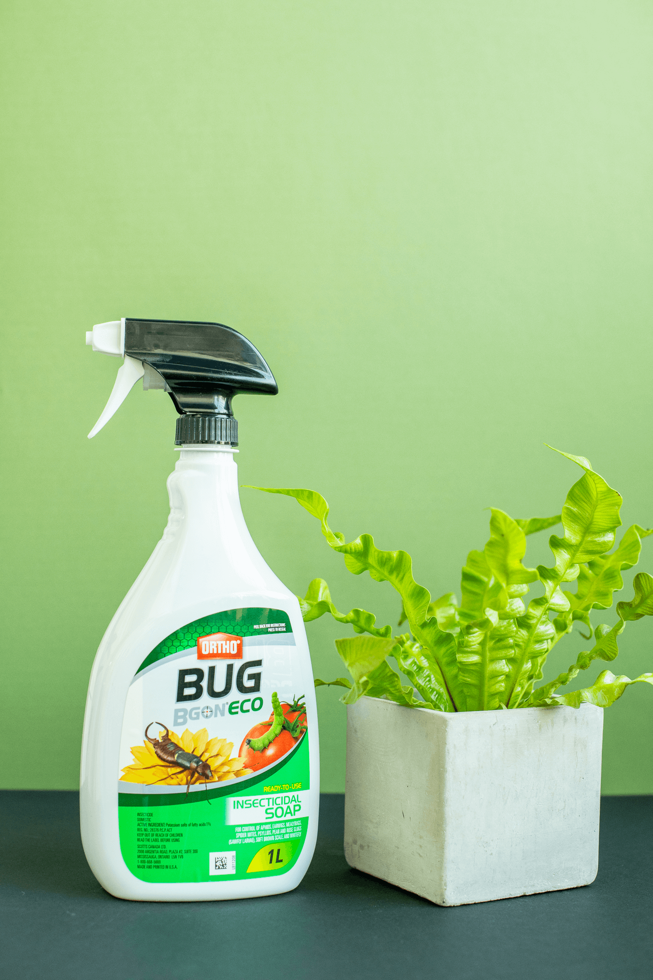 Insecticidal Soap: Bug B Gon Eco