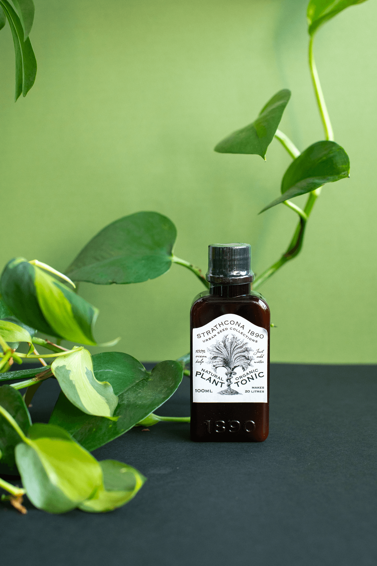 Strathcona 1890 : Plant Tonic