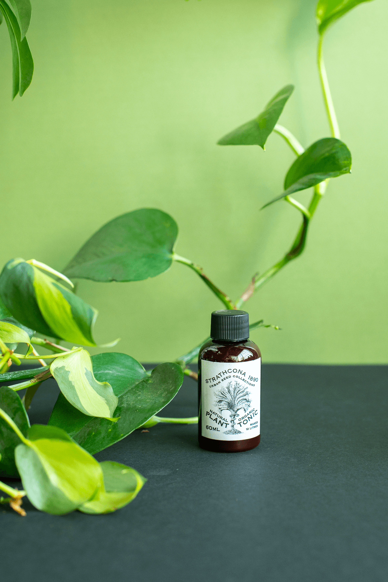 Strathcona 1890 : Plant Tonic