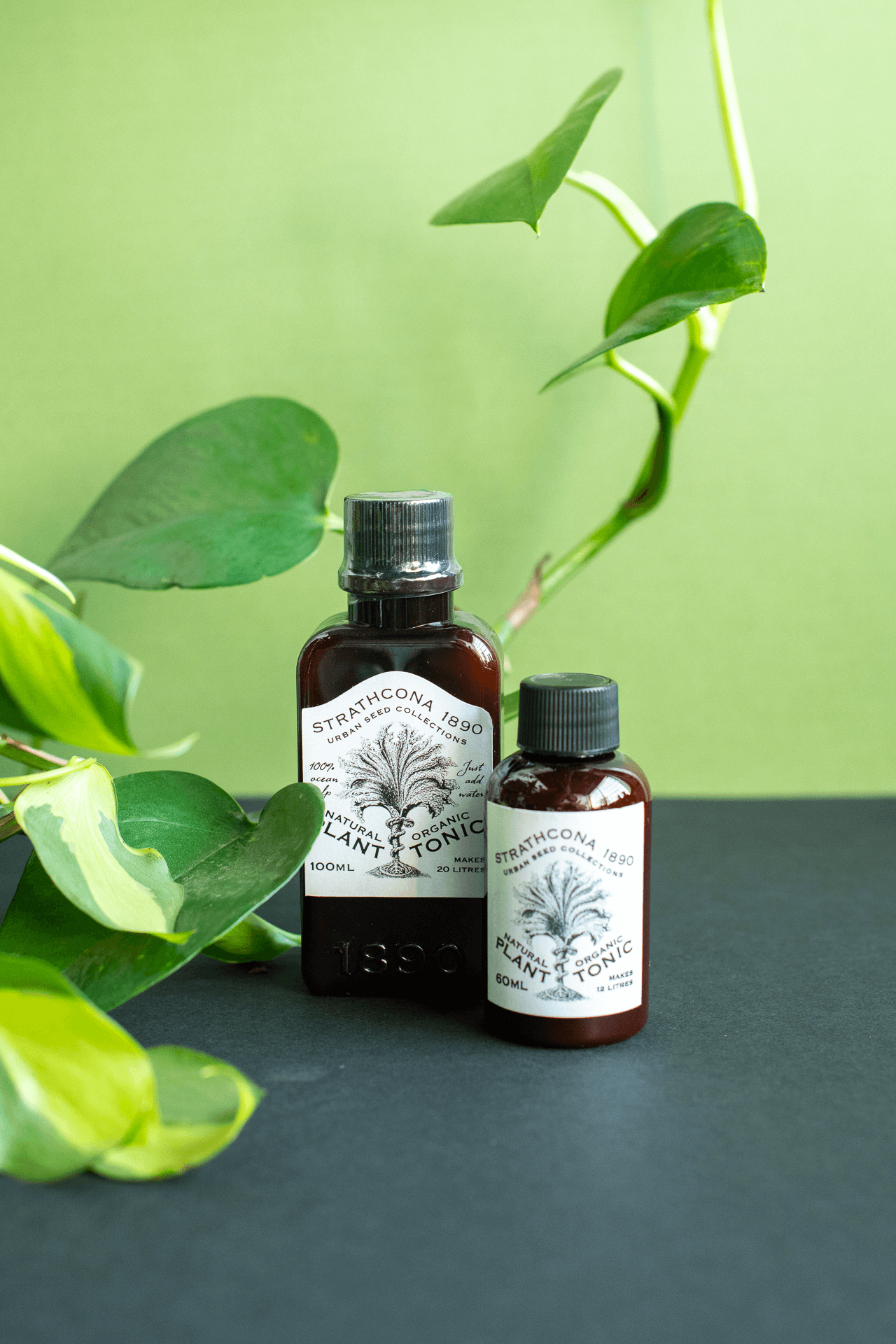 Strathcona 1890 : Plant Tonic