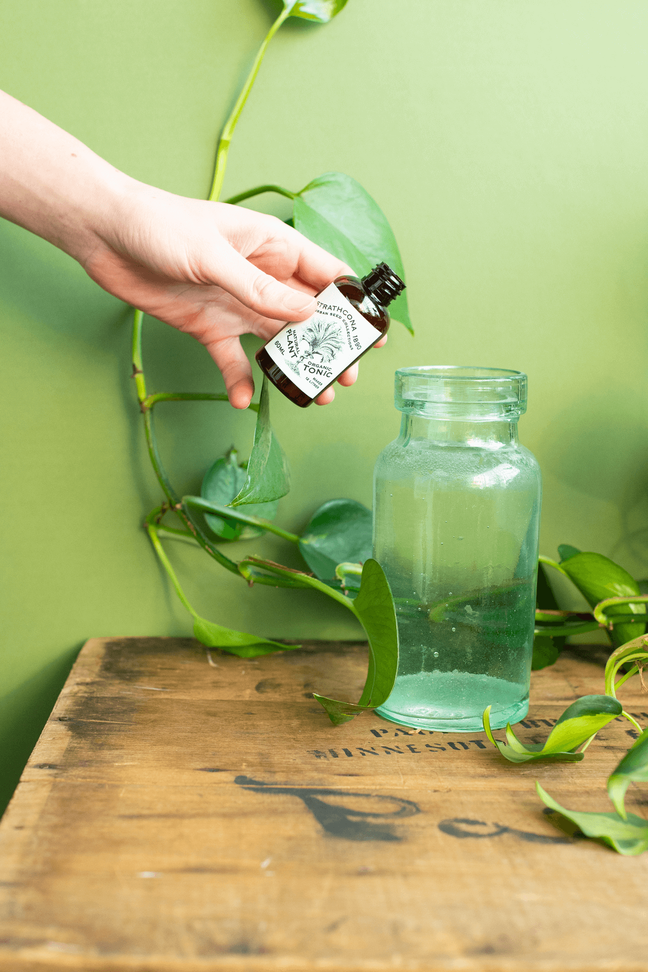 Strathcona 1890 : Plant Tonic
