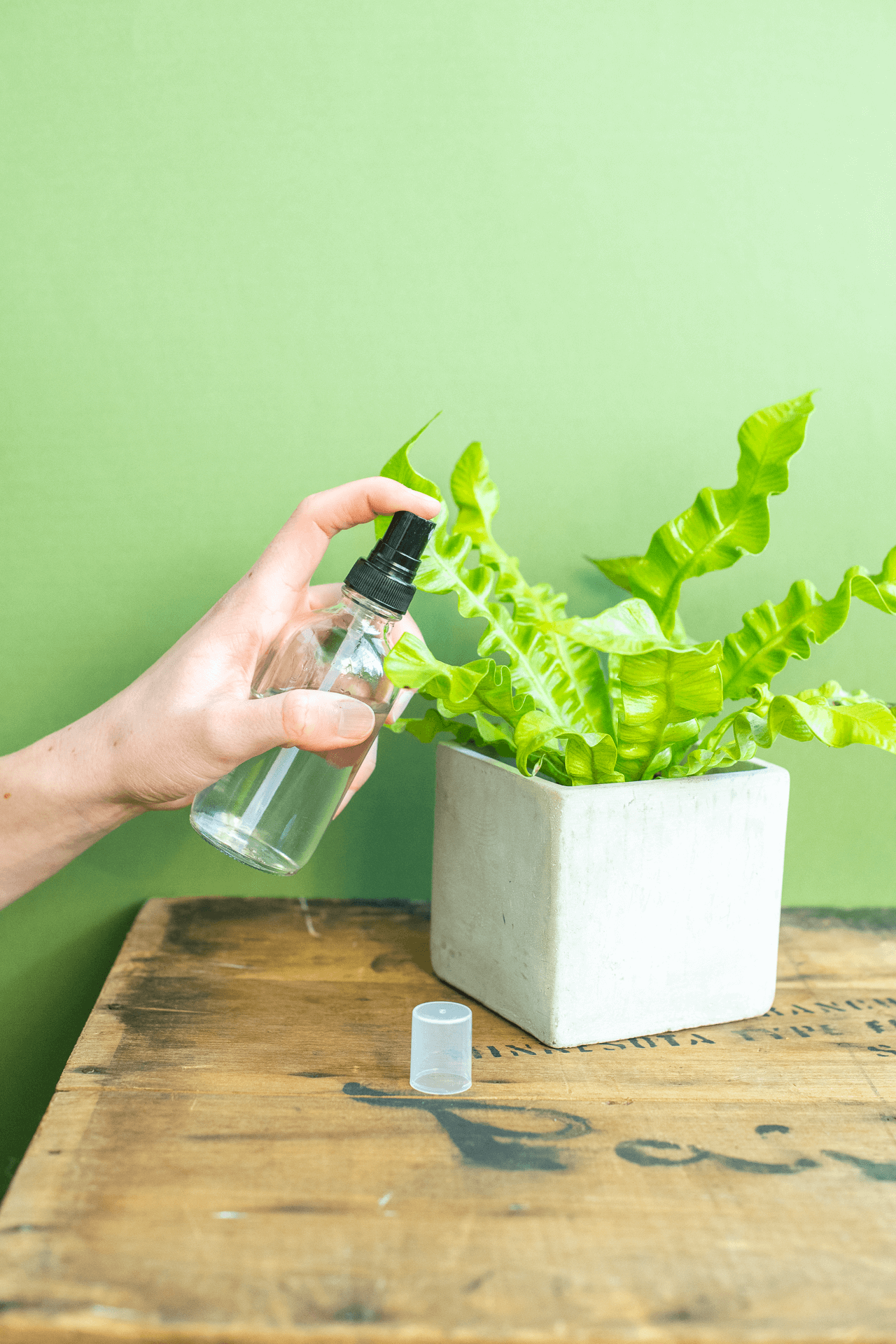 Spray Bottle: Mini Glass