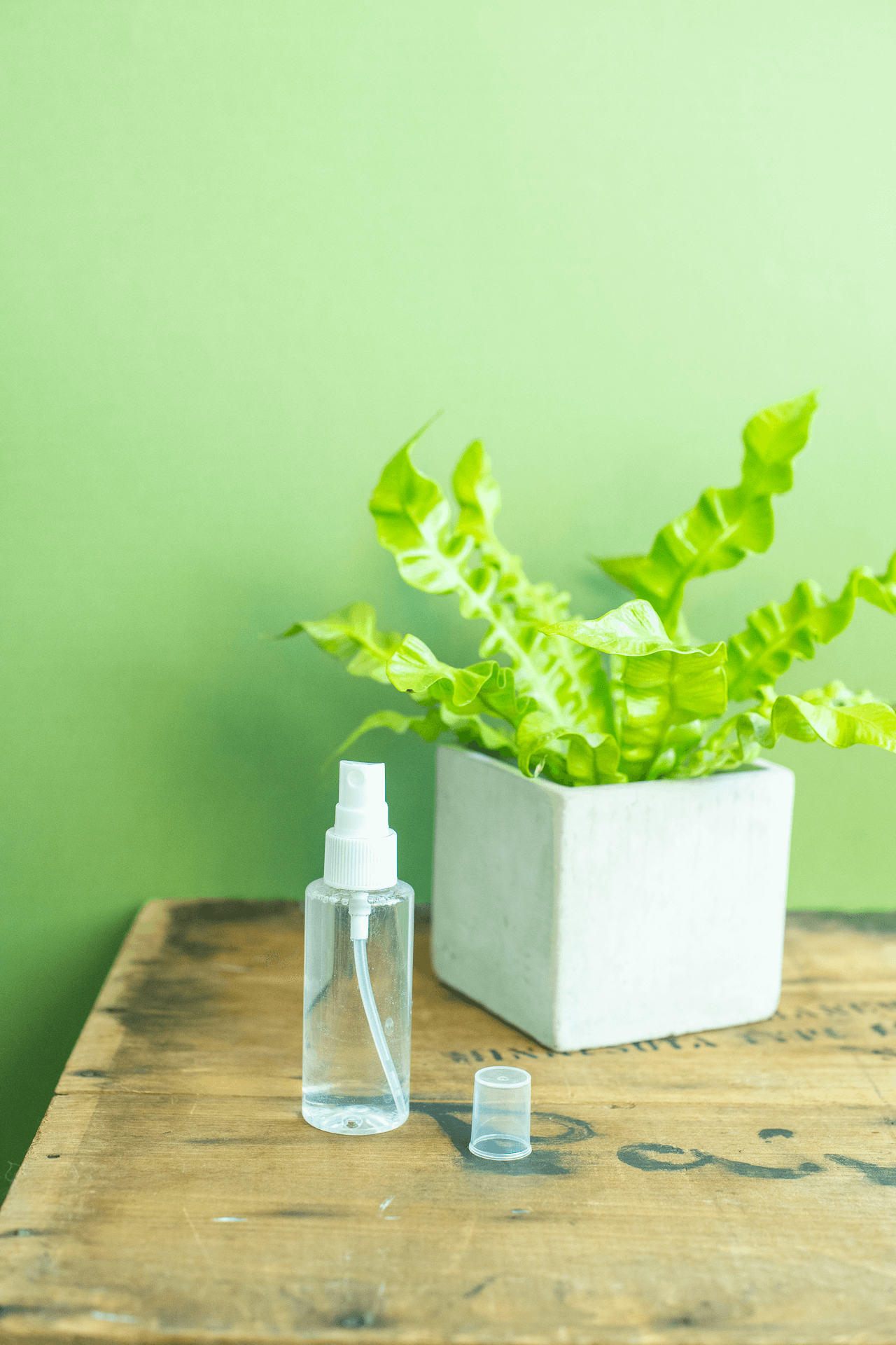 Spray Bottle : Mini Plastic