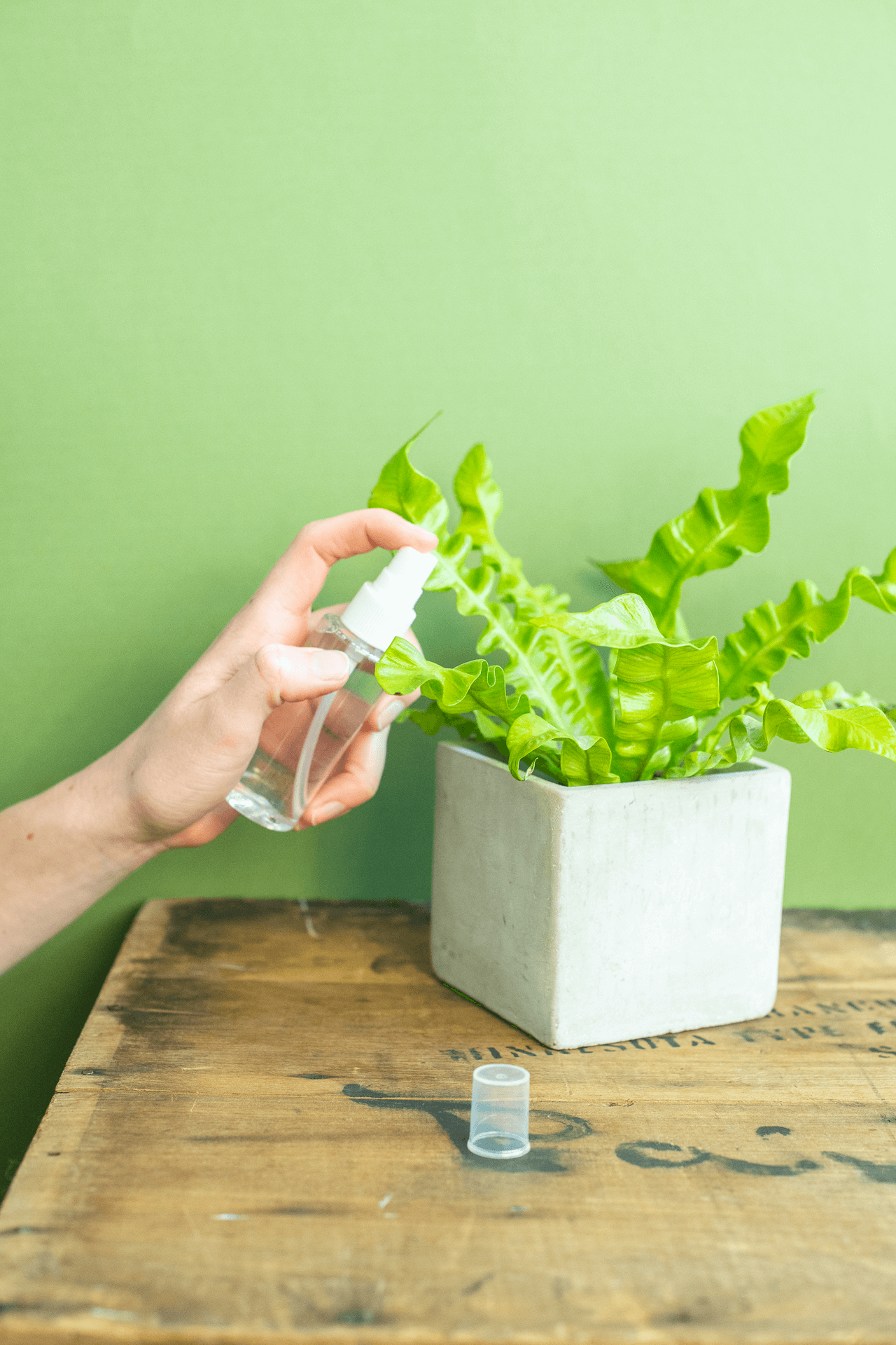 Spray Bottle : Mini Plastic