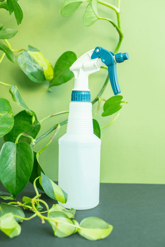 Spray Bottle: Blue Topped Plastic