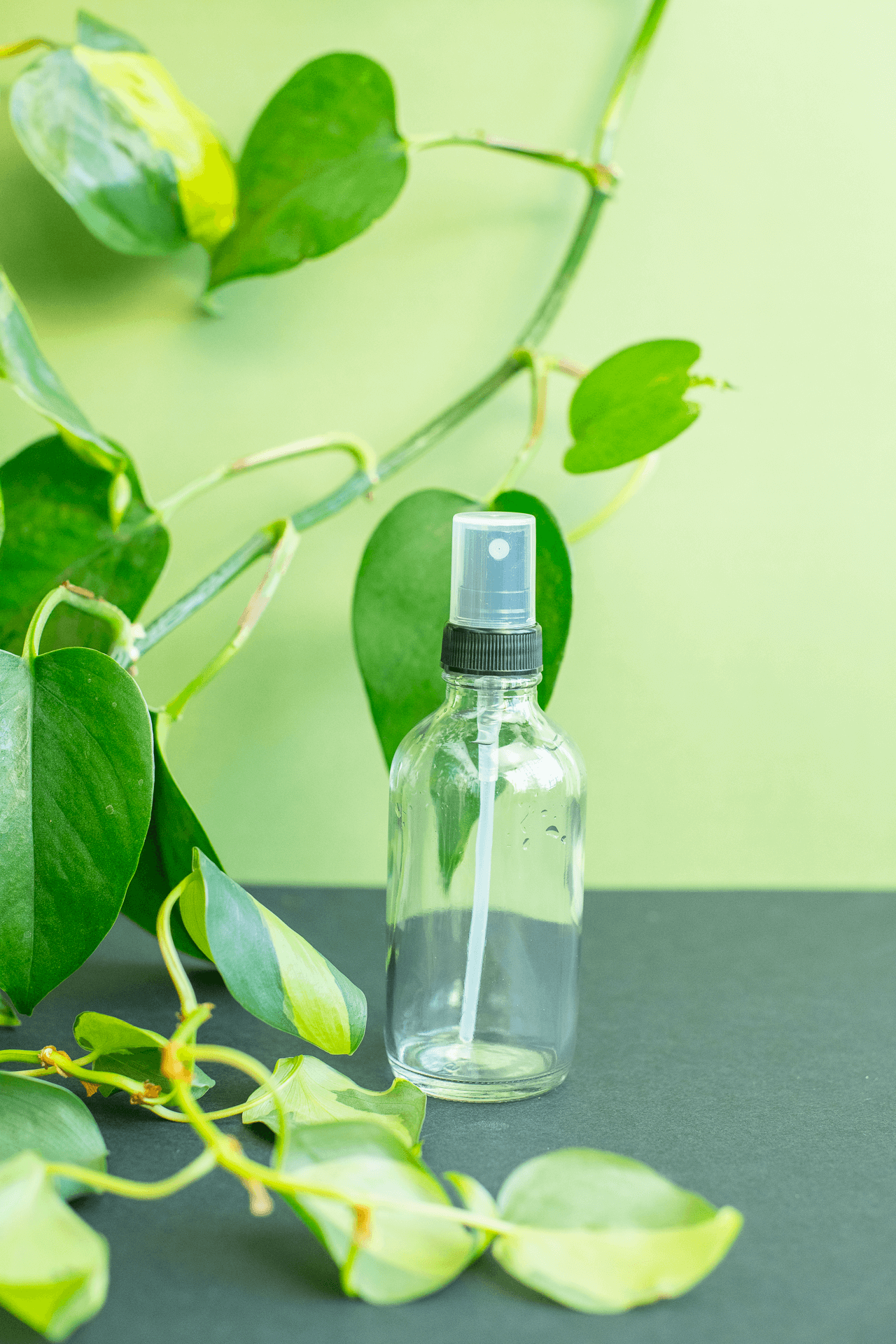 Spray Bottle: Mini Glass