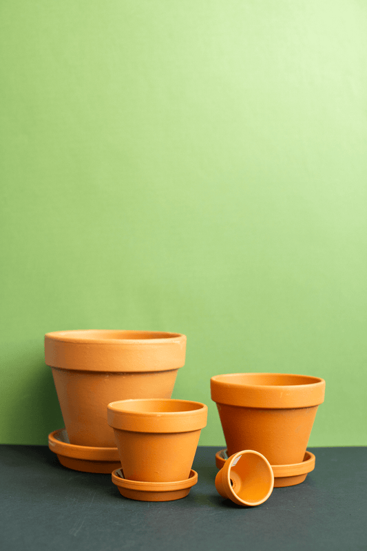 Planters: Terracotta