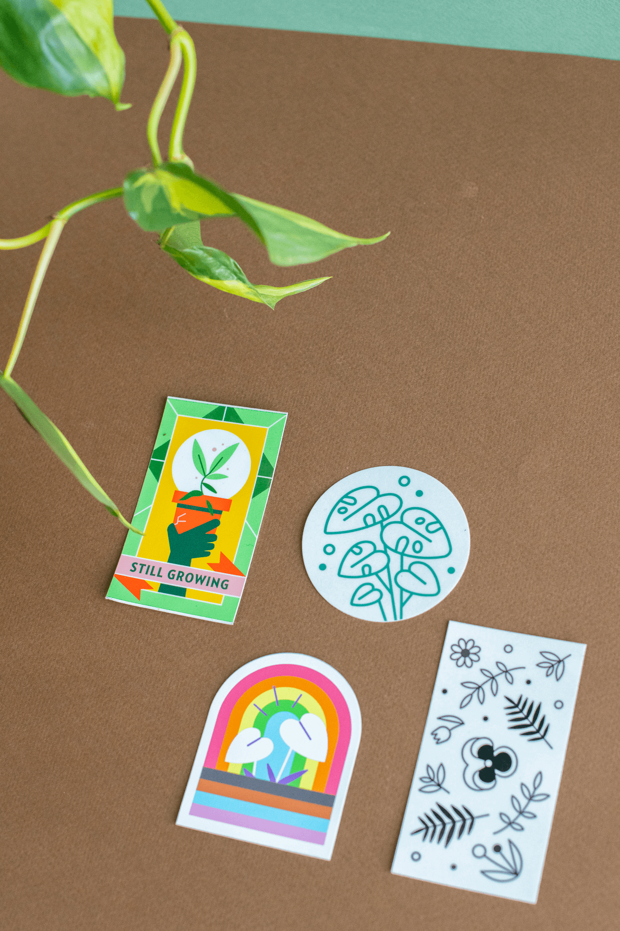 Plant Merch : Monstera Sticker