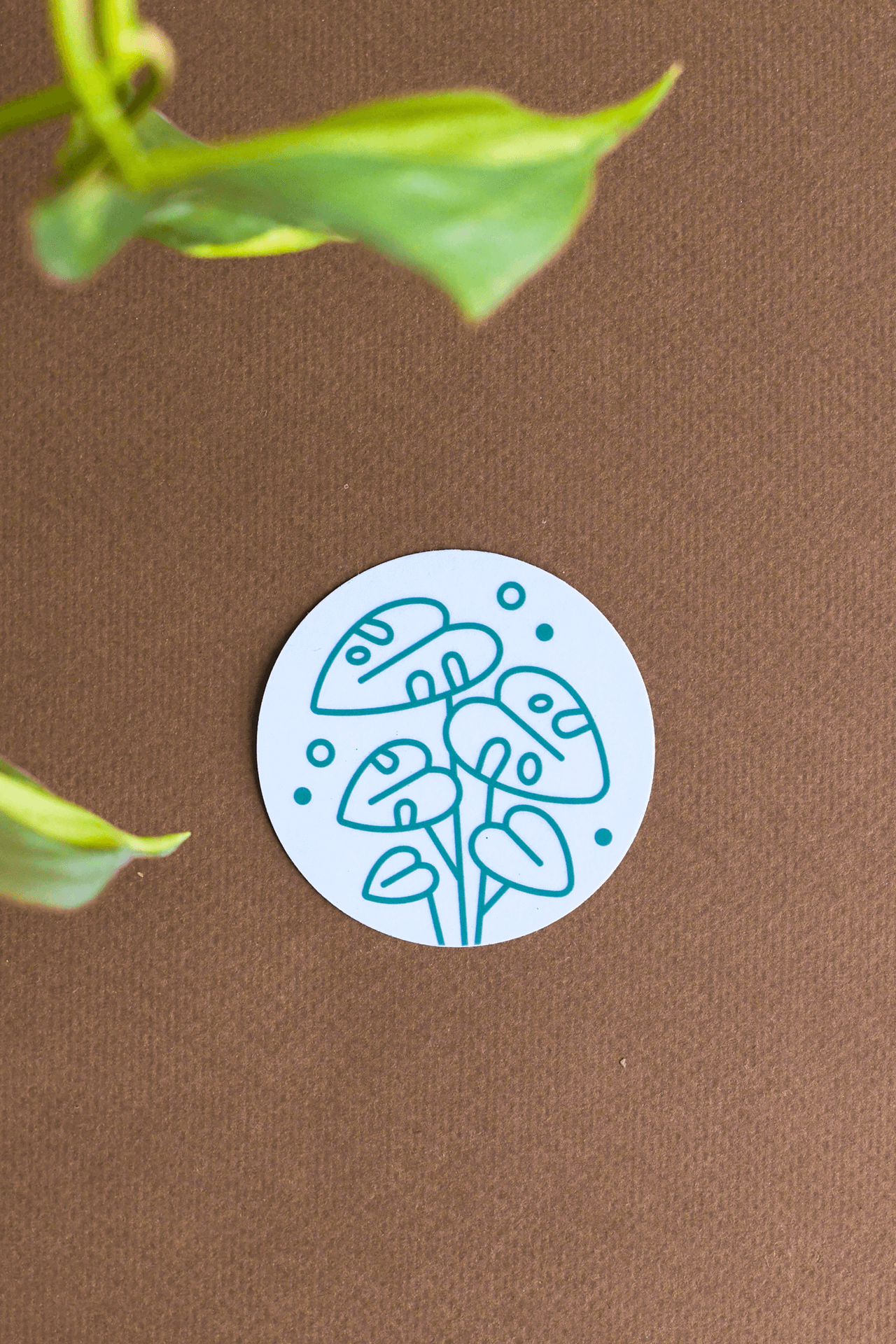 Plant Merch : Monstera Sticker
