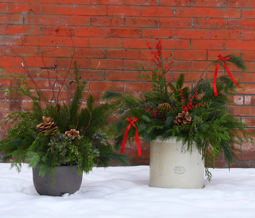Seasonal / Winter Outdoor Planter Workshop