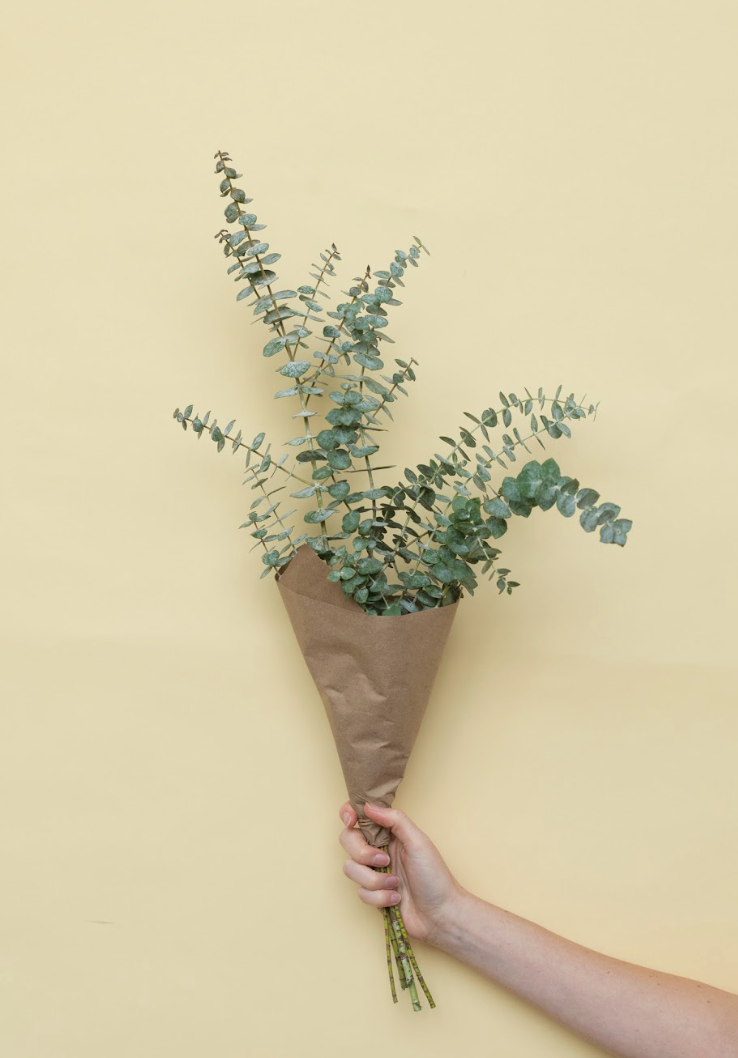 Baby Blue Eucalyptus Bunch