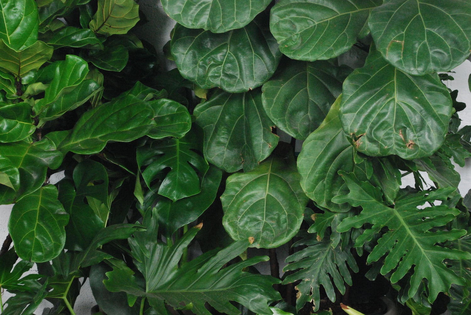Seasonal & Collaboration Workshops