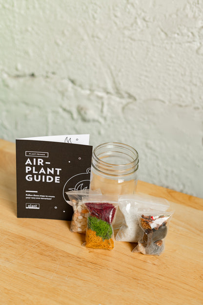 Airplant Terrarium Kit