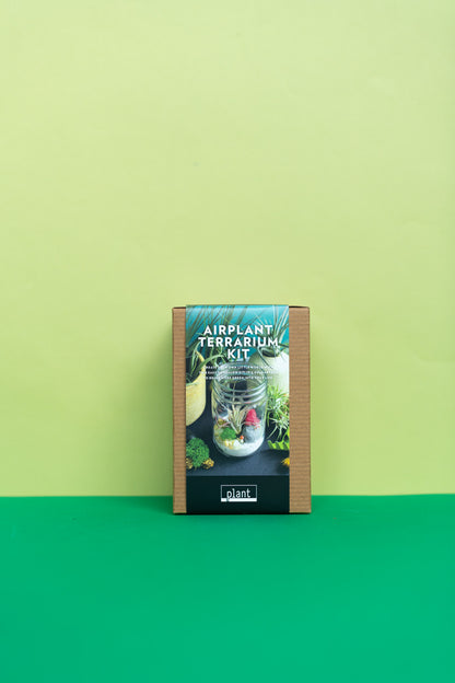 Airplant Terrarium Kit