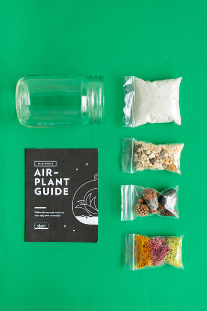 Airplant Terrarium Kit