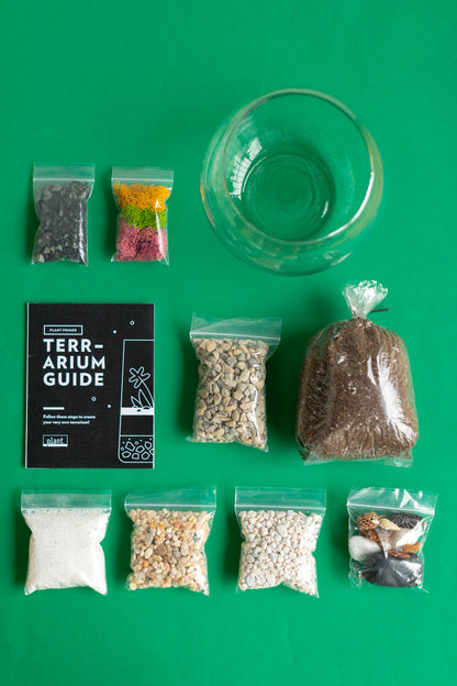 Terrarium Kit : Globe w/ Plants
