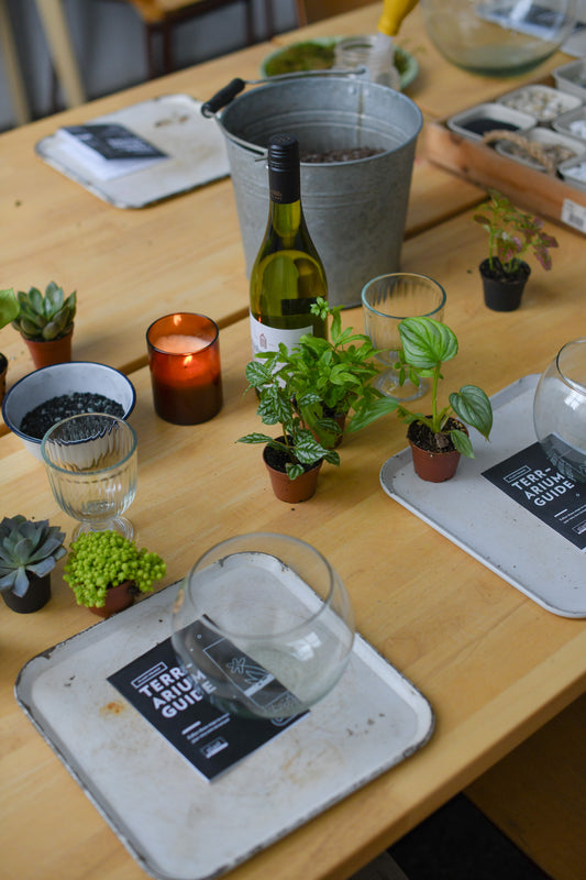 Valentine's DIY Terrarium Workshop (Adults Only)