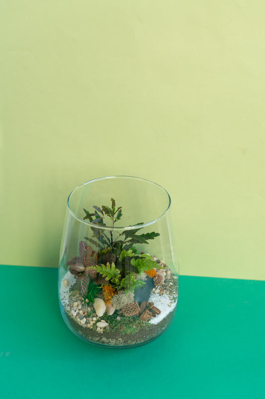 Large Tropical Tapered Tulip Terrarium