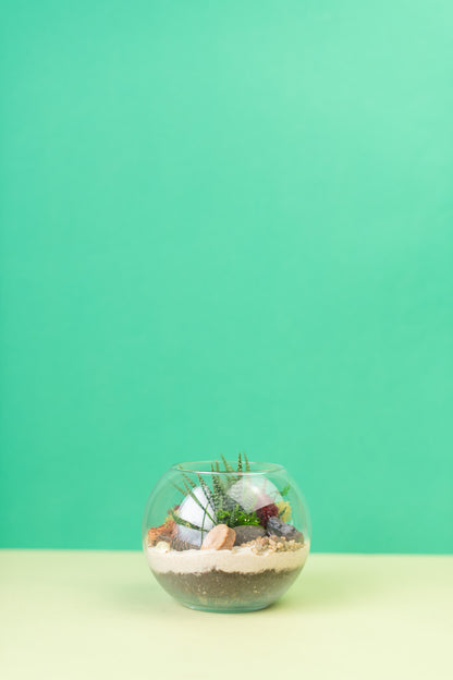 Mini Globe Succulent Terrarium