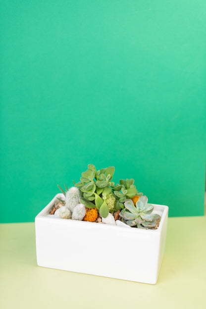 Rectangular Potted Arrangement