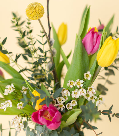 PREORDER :  Mother's Day 2026 : Tulip Bouquet