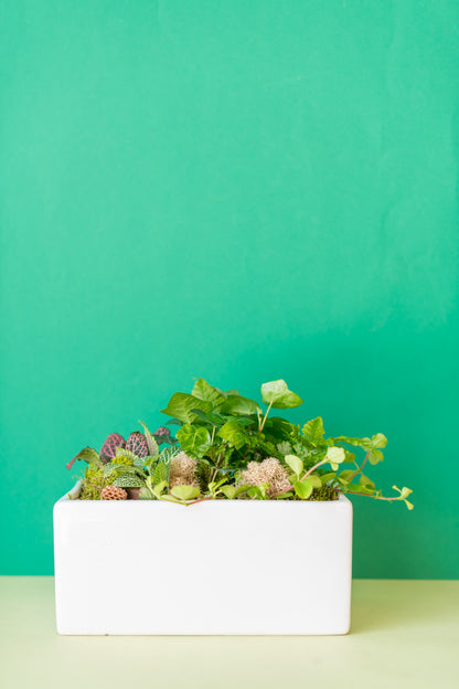 Rectangular Potted Arrangement