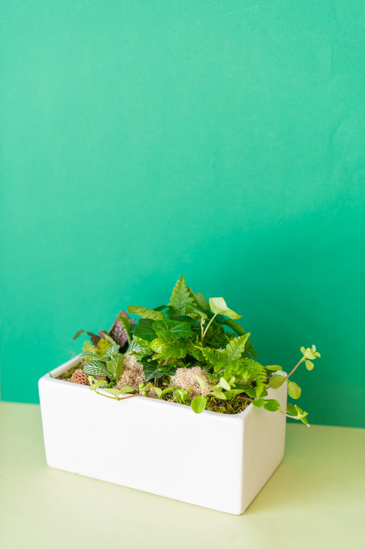 Rectangular Potted Arrangement