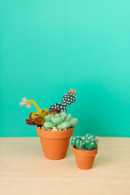 Mother's Day Intro to Needle Felting : Succulent / Cacti