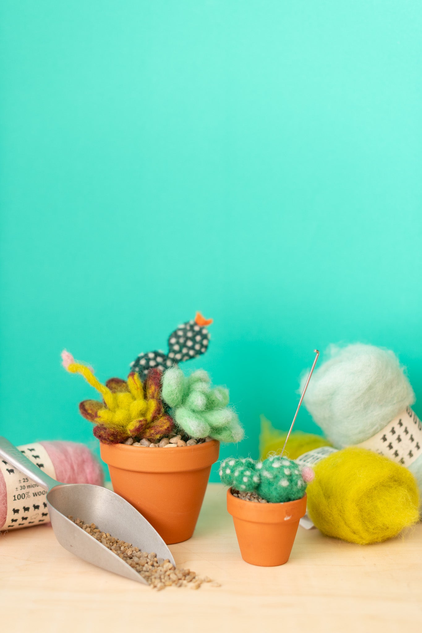 Mother's Day Intro to Needle Felting : Succulent / Cacti