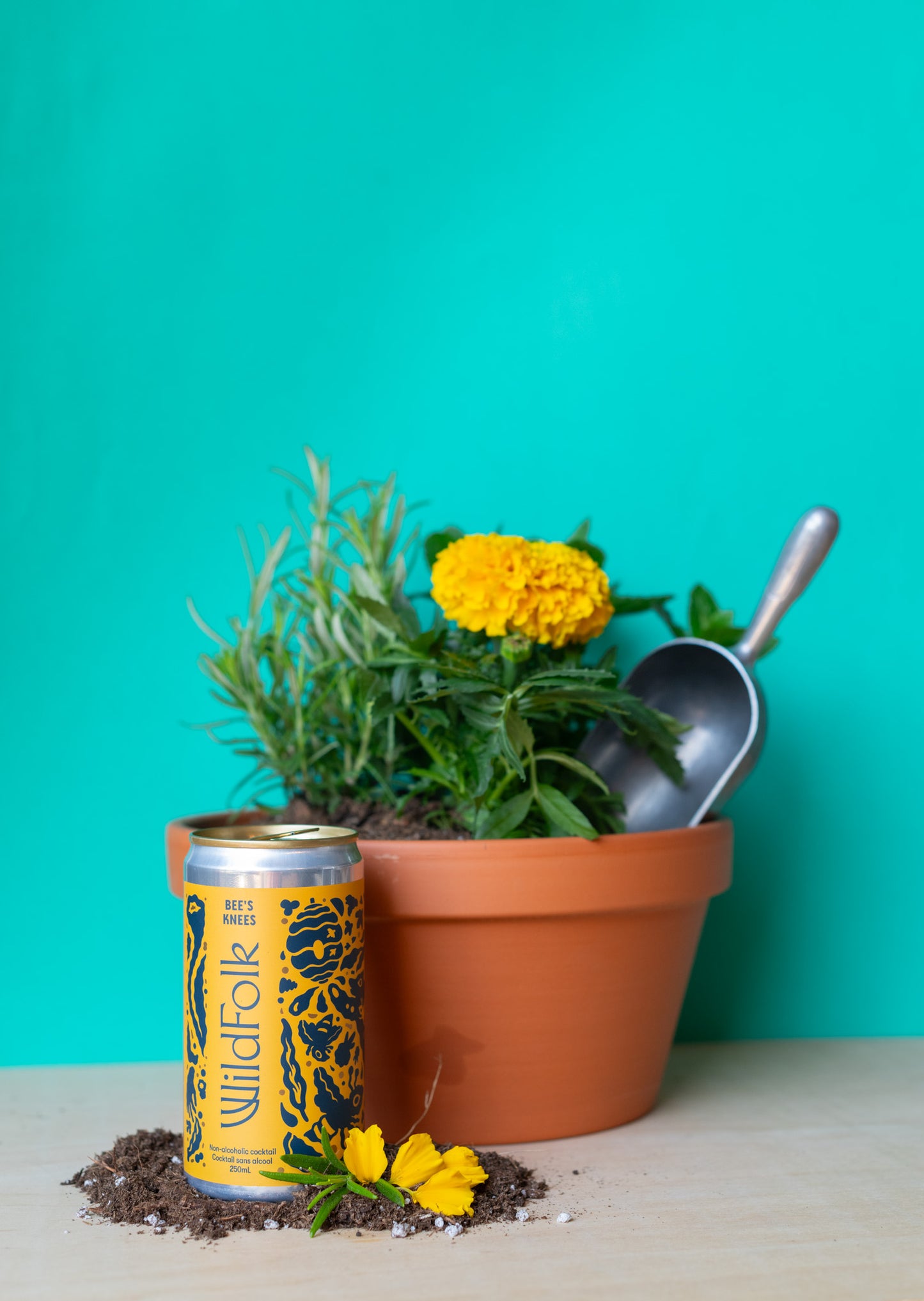 Plant x Wild Folk  : Beverage Garnish & Edible Potted Arrangement Workshop