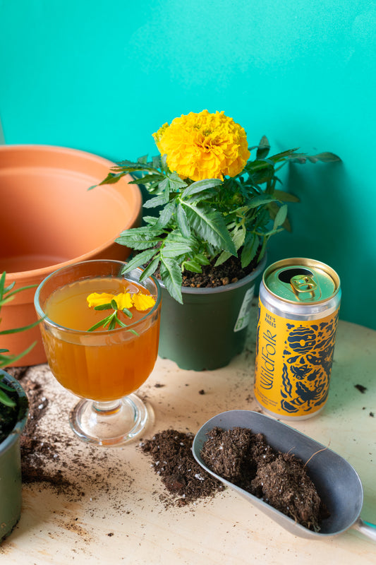 Plant x Wild Folk  : Beverage Garnish & Edible Potted Arrangement Workshop