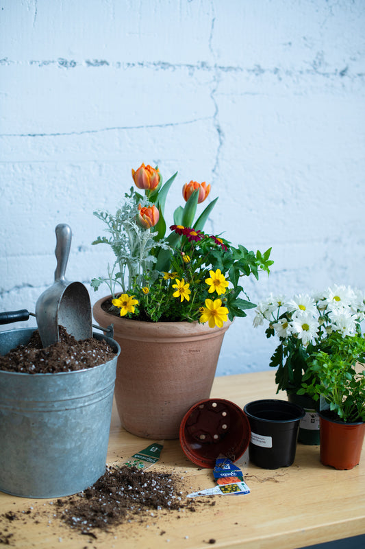 Mother's Day Outdoor Potted Arrangement Workshop