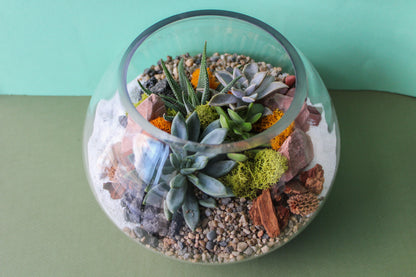 Short Bell Terrarium
