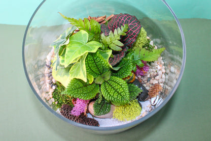 XL Cylinder Terrarium