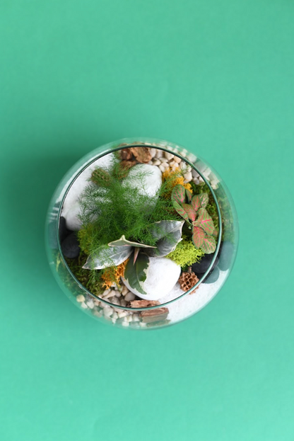 DIY Terrarium Workshop