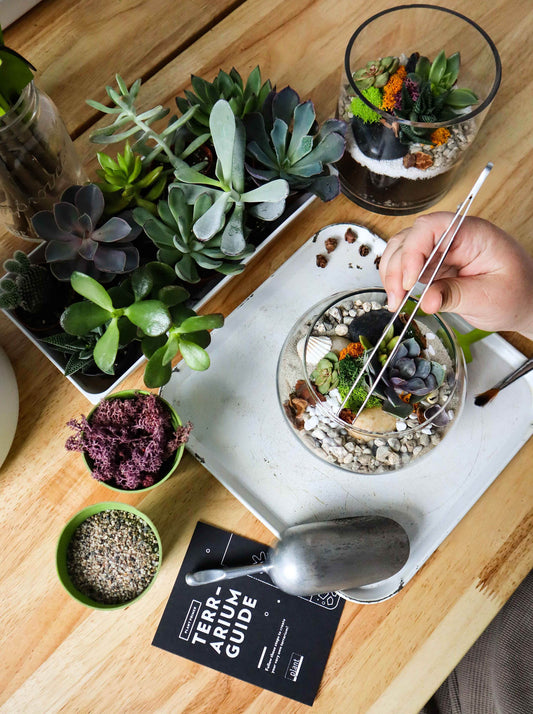 Mother's Day DIY Terrarium Workshop